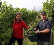 Berufsbilder -Landeskammer für Land- und Forstwirtschaft Niederösterreich