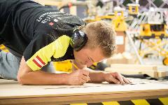 Berufsbilder -SkillsAustria