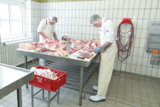 Berufsbilder -Mag.phil. Mag.art. Joanna Piestrzynska