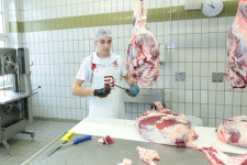 Berufsbilder -Mag.phil. Mag.art. Joanna Piestrzynska