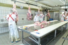 Berufsbilder -Mag.phil. Mag.art. Joanna Piestrzynska