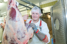 Berufsbilder -Mag.phil. Mag.art. Joanna Piestrzynska