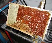 Berufsbilder -Frühwirth