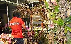 Berufsbilder -SkillsAustria