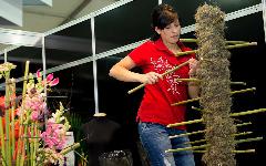 Berufsbilder -SkillsAustria