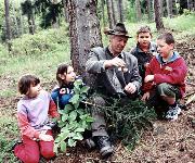 Berufsbilder -Landeskammer für Land- und Forstwirtschaft Niederösterreich