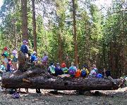 Berufsbilder -Landeskammer für Land- und Forstwirtschaft Steiermark