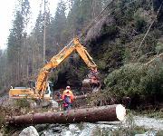 Berufsbilder -Landeskammer für Land- und Forstwirtschaft Steiermark