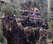 Berufsbilder -Landeskammer für Land- und Forstwirtschaft Steiermark