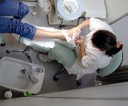 Berufsbilder -BiWi - Berufsinformation der Wiener Wirtschaft