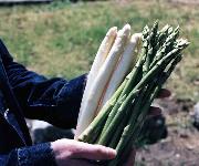 Berufsbilder -Landeskammer für Land- und Forstwirtschaft Niederösterreich