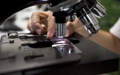 Berufsbilder -dieindustrie.at/Mathias Kniepeiss