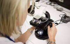 Berufsbilder -dieindustrie.at/Mathias Kniepeiss