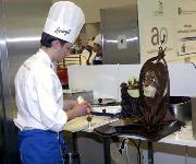 Berufsbilder -mit freundlicher Genehmigung von Skills Finland