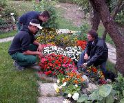 Berufsbilder -BiWi - Berufsinformation der Wiener Wirtschaft