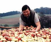 Berufsbilder -Landeskammer für Land- und Forstwirtschaft Niederösterreich