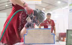 Berufsbilder -SkillsAustria