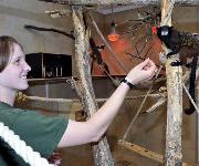 Berufsbilder -Norbert Potensky, Tiergarten Schönbrunn