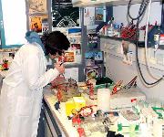 Berufsbilder -BiWi - Berufsinformation der Wiener Wirtschaft