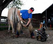 Berufsbilder -Markus Gruber (www.der-hufschmied.at)