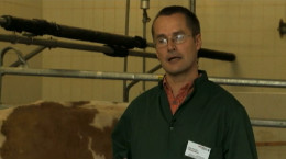 Berufsinfo-Video - Your Job. Universitätsstudium am Beispiel Veterinärmedizin