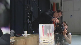 Berufsinfo-Video - MediengestalterIn Bild und Ton