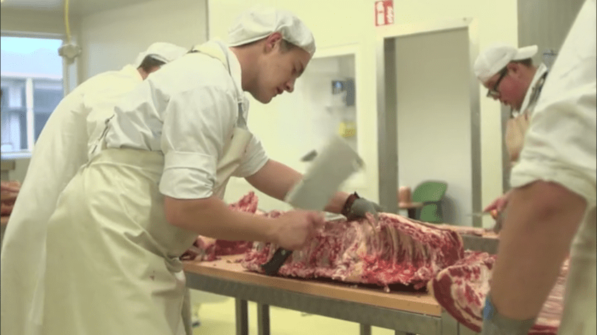 Berufsinfo-Video - WK Kärnten: Deine Lehre. Deine Karriere: Werde FleischverarbeiterIn!