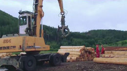 Berufsinfo-Video - Holztechnik (Modullehrberuf)