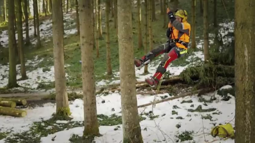 Berufsinfo-Video - Genialer Stoff – Was macht eigentlich ein*e Forstfacharbeiter*in