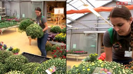 Berufsinfo-Video - WKOÖ: Lebe dein Talent. Die Lehre. - Einzelhandel - Gartencenter