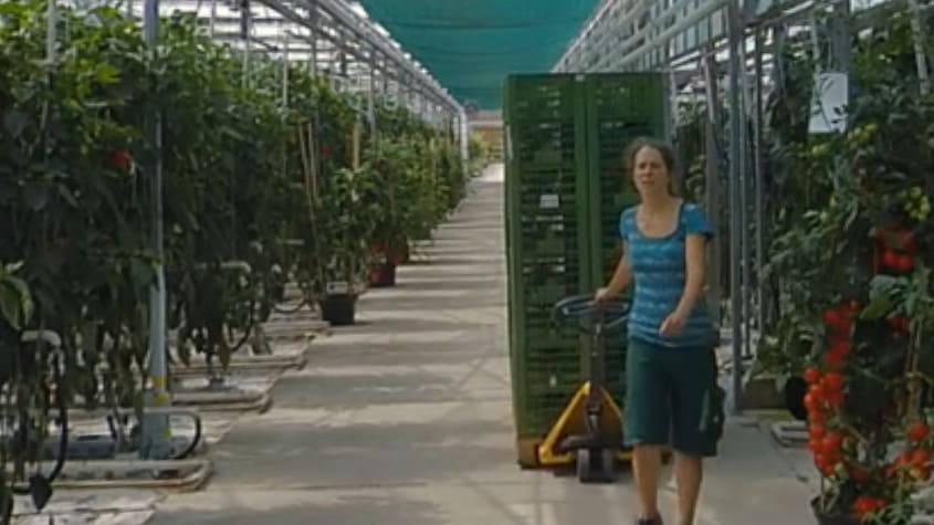 Berufsinfo-Video - WKO Berufe VR: Gartenbaufacharbeiter*in