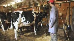 Berufsinfo-Video - Landwirtschaftlicher Facharbeiter (Lehrling)