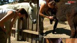 Berufsinfo-Video - WKOÖ: Lebe dein Talent. Die Lehre. - TierpflegerIn