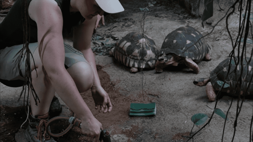 Berufsinfo-Video - AMS Video: Tierpfleger*in