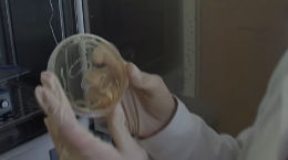 Berufsinfo-Video - FEMtech-Expertin: Eva-Maria Binder, Technische Chemikerin